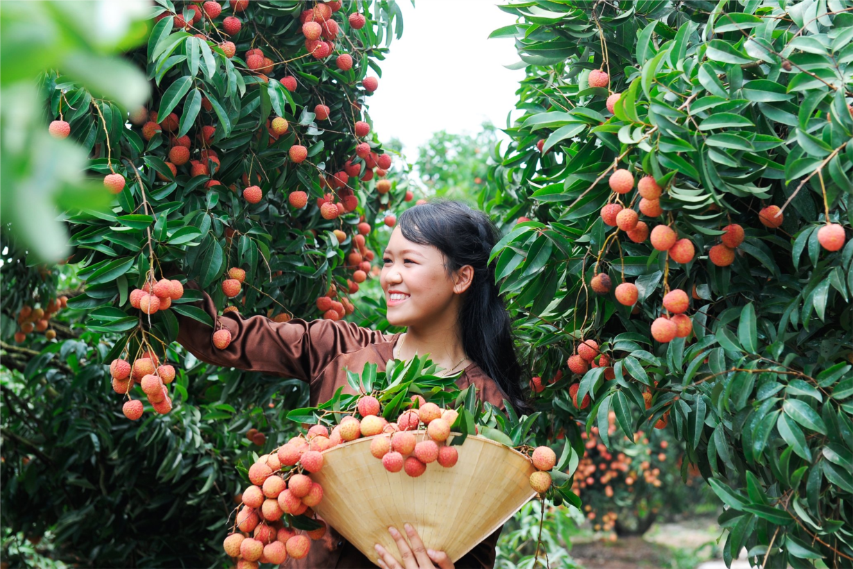 “Dấu ấn Nghị quyết của Đảng trong định hướng phát triển nông nghiệp, nông dân và nông thôn” (03/02/2023)